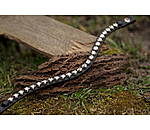 Frontal  Hjarta