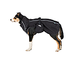 Manteau pour chien en Softshell  Bark, 0 g