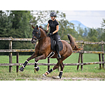 Tapis de selle  Ceramic Rehab Cotton