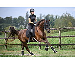 Masque confort pour cheval  Ceramic Rehab Earless