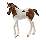 Poulain Paint Horse