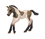 Poulain pie palomino  Play series