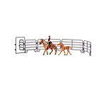Cavali�re et son haflinger  Play series