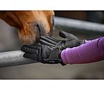 Gants d'�quitation hiver  Softshell