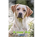 Bon cadeau  imprimer