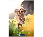 Bon cadeau  imprimer