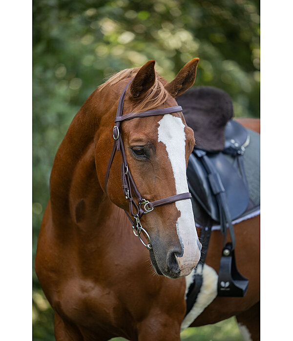 Bridon de randonne impermable  Eifel