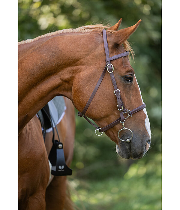 Bridon de randonne impermable  Eifel