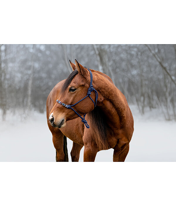 Licol � noeuds  Beaded