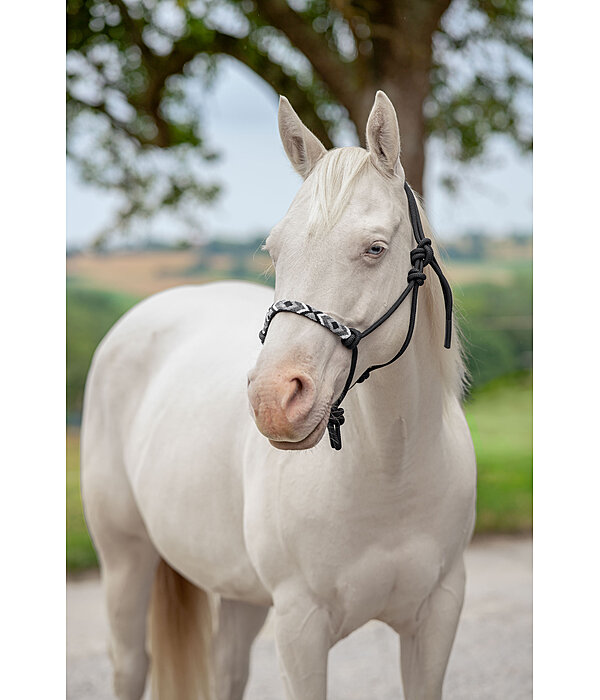 Licol � noeuds  Beaded