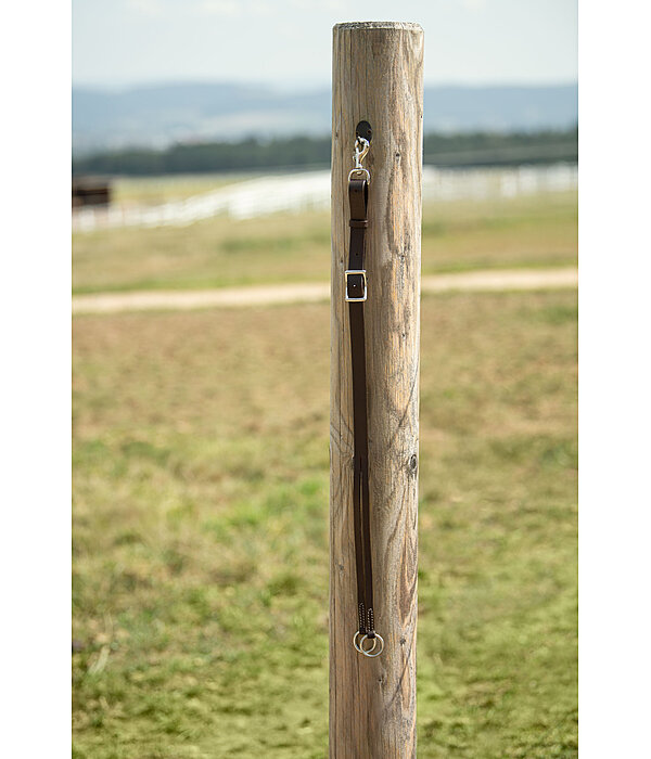 Fourche de martingale western  Basic