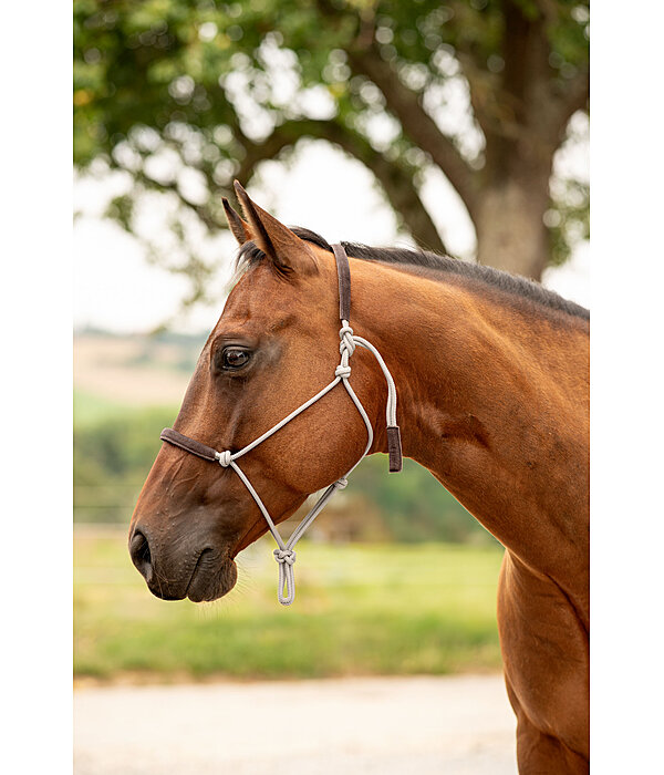 Licol �thologique  Cuero