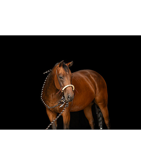 Ensemble bosal  Remy