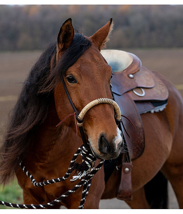 Ensemble bosal  Remy