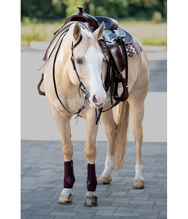 Bridon d'entranement une oreille en cuir Harness