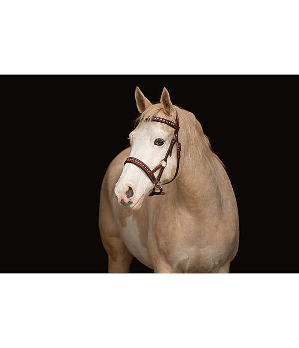 Sidepull  Rawhide