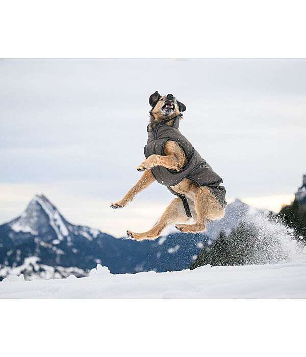 Manteau pour chien avec doublure polaire  Eddie 200 g