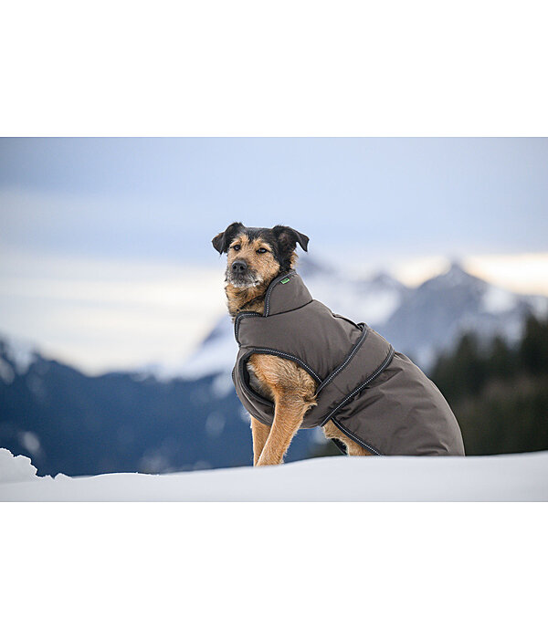 Manteau pour chien avec doublure polaire  Eddie 200 g