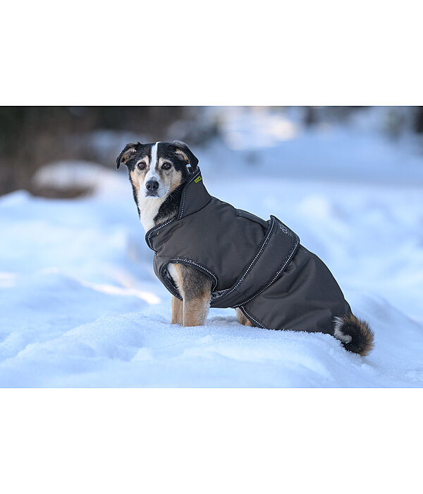 Manteau pour chien avec doublure polaire  Eddie 200 g