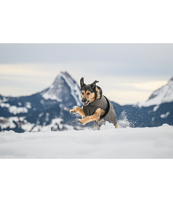 Manteau pour chien avec doublure polaire  Eddie 200 g