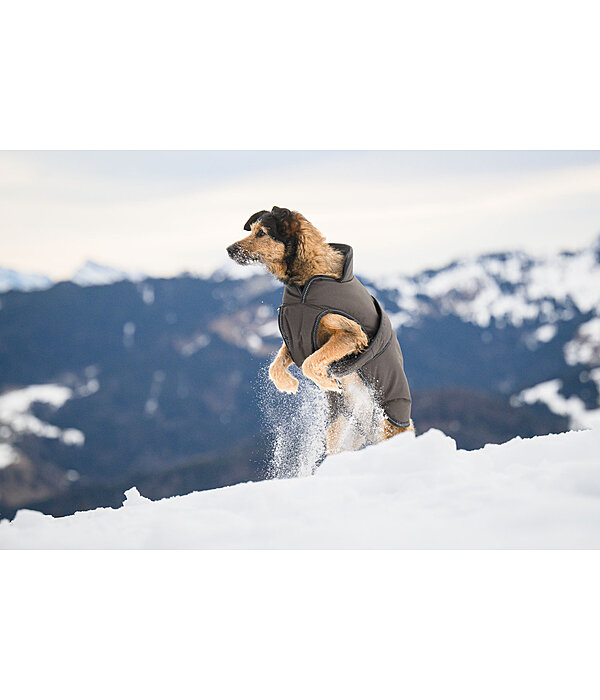 Manteau pour chien avec doublure polaire  Eddie 200 g