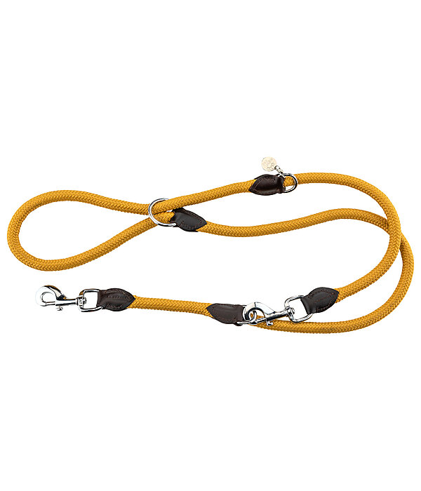 Laisse pour chien  Rope