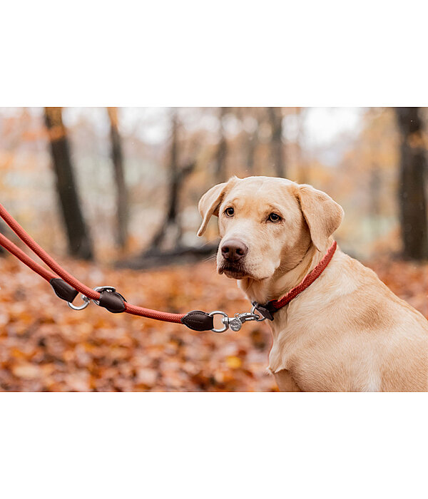 Laisse pour chien  Nature Rope