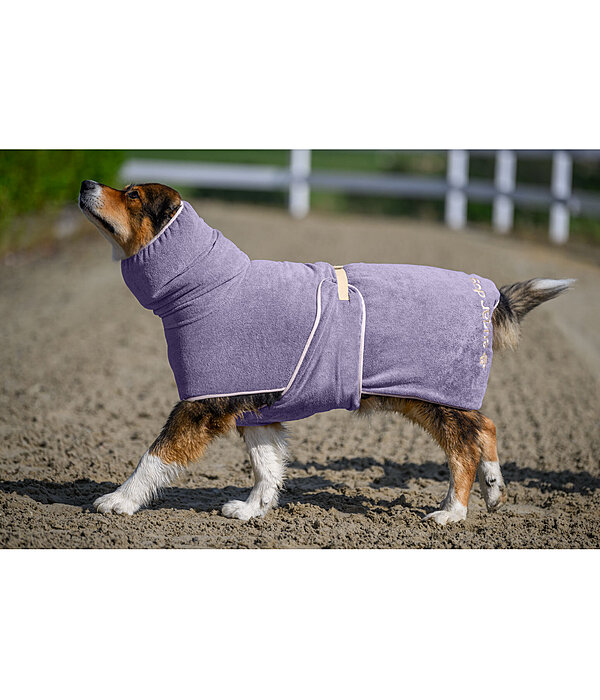 Chemise schante pour chien  Dry Dog II