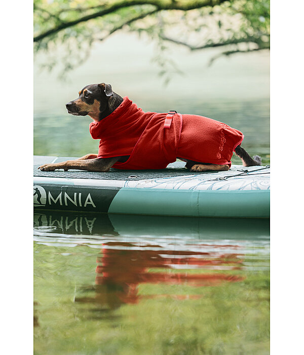Chemise schante pour chien  Dry Dog II