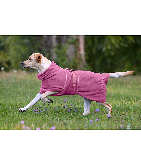Chemise s�chante pour chien  Dry Dog II