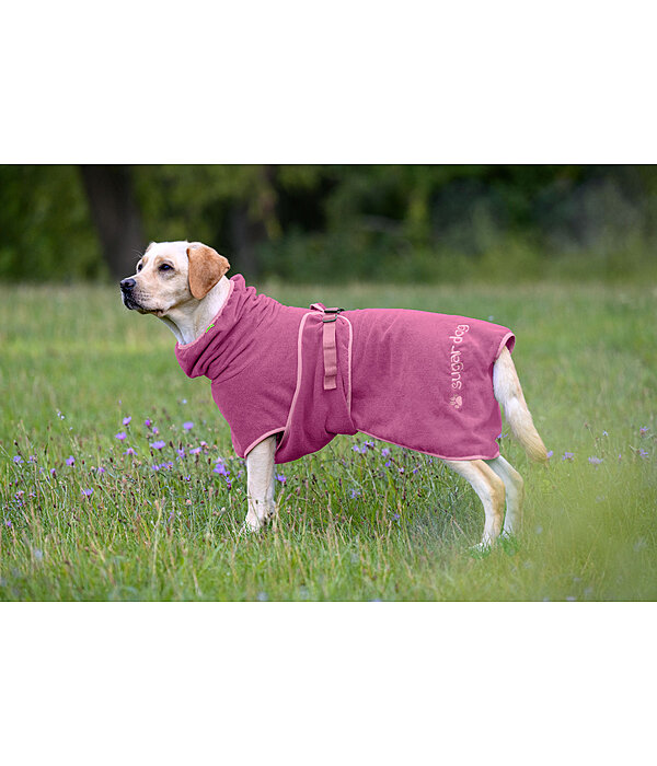 Chemise s�chante pour chien  Dry Dog II