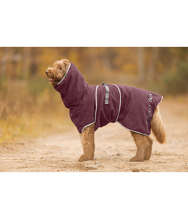 Chemise s�chante pour chien  Dry Dog II