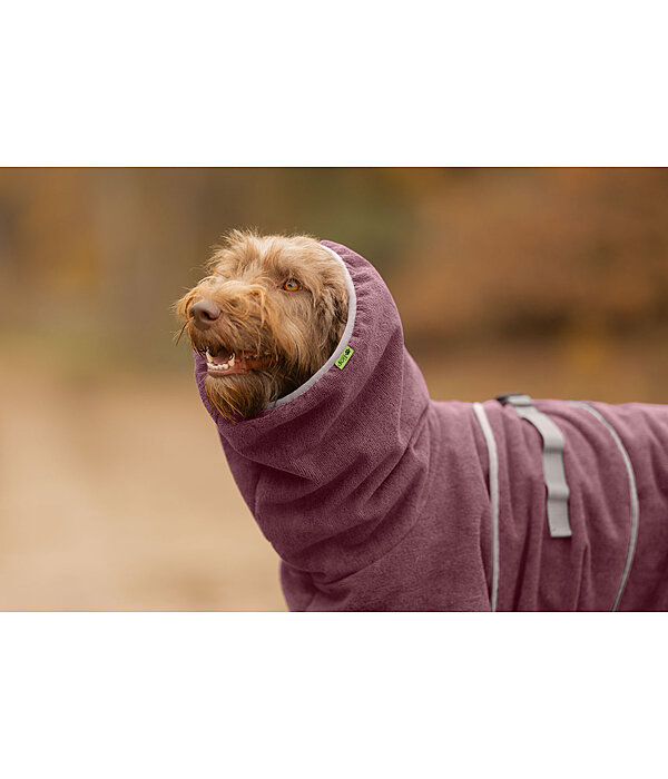 Chemise s�chante pour chien  Dry Dog II
