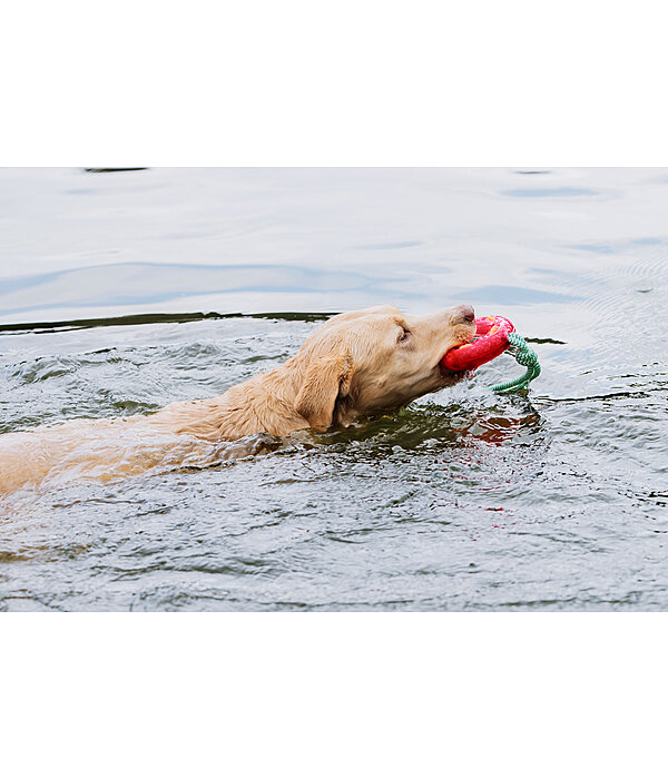 Jouet pour chien  Mia