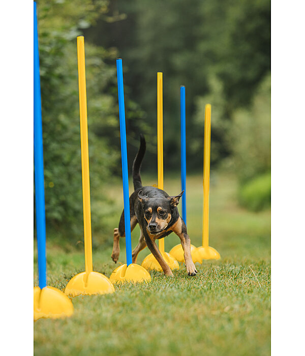 Barres d'agility
