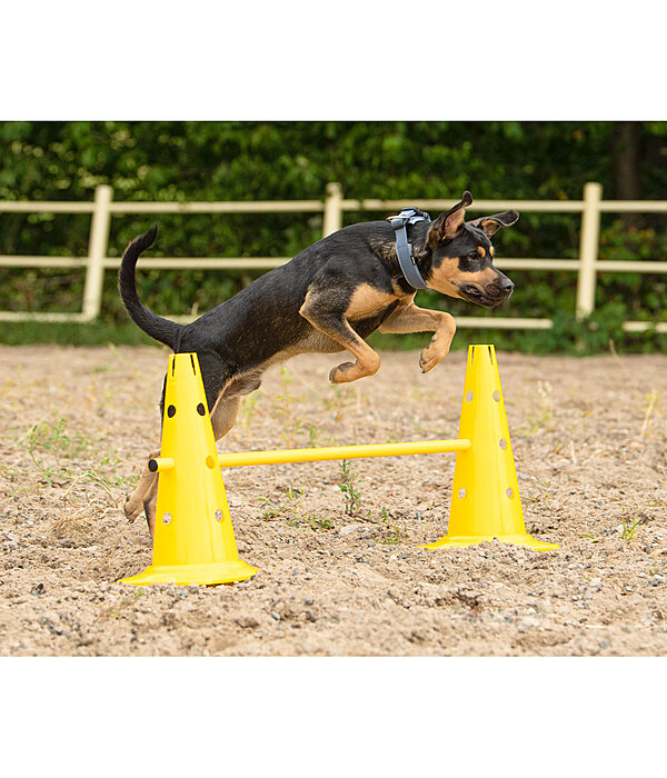 Pylnes d'agility