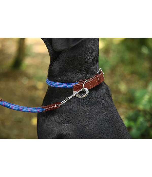 Collier pour chien  Coloured Rope