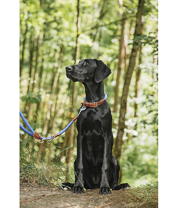 Laisse pour chien  Coloured Rope