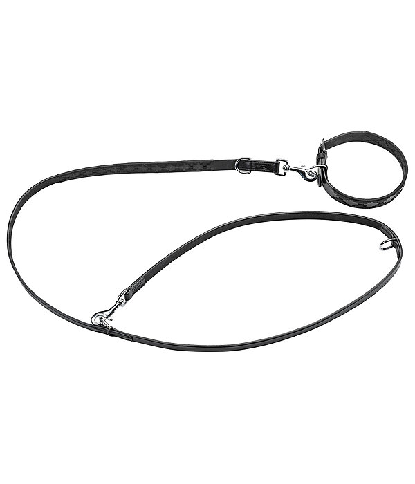 Ensemble collier et laisse en cuir pour chien  Polo Sports