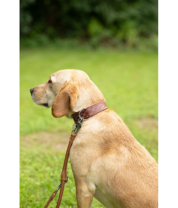 Collier en cuir pour chien  Livorno