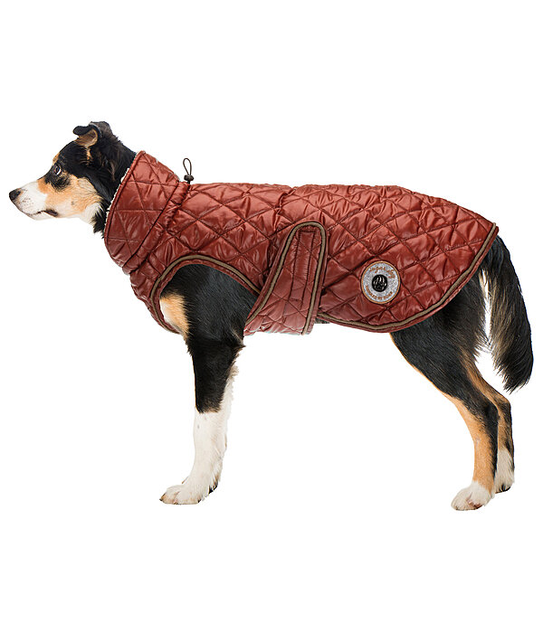 Manteau avec doublure en polaire Teddy pour chien  Archie, 160 g