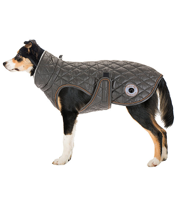 Manteau avec doublure en polaire Teddy pour chien  Archie, 160 g