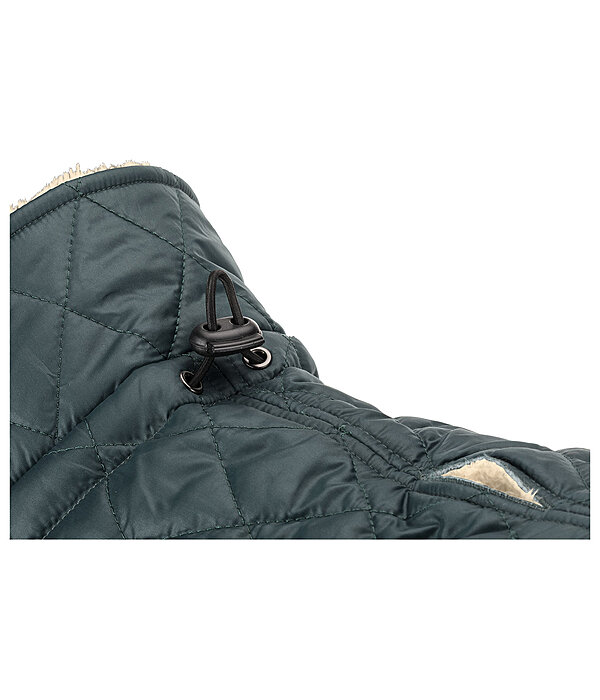 Manteau avec doublure en polaire Teddy pour chien  Archie, 160 g