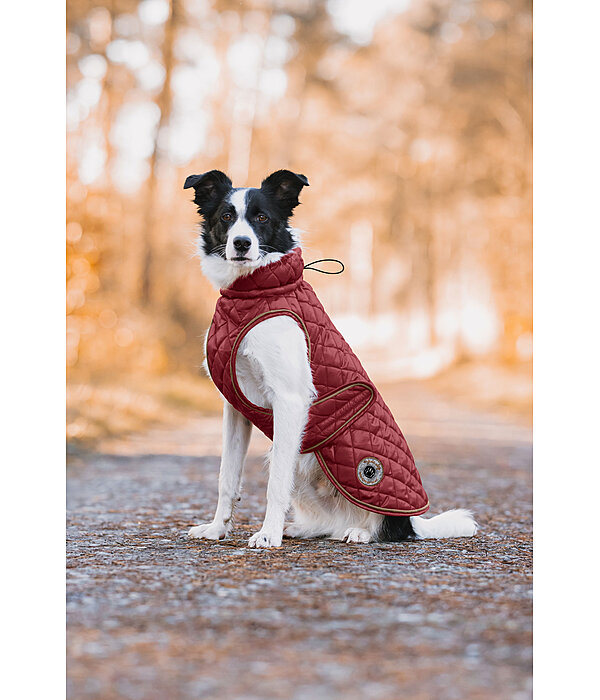 Manteau avec doublure en polaire Teddy pour chien  Archie, 160 g
