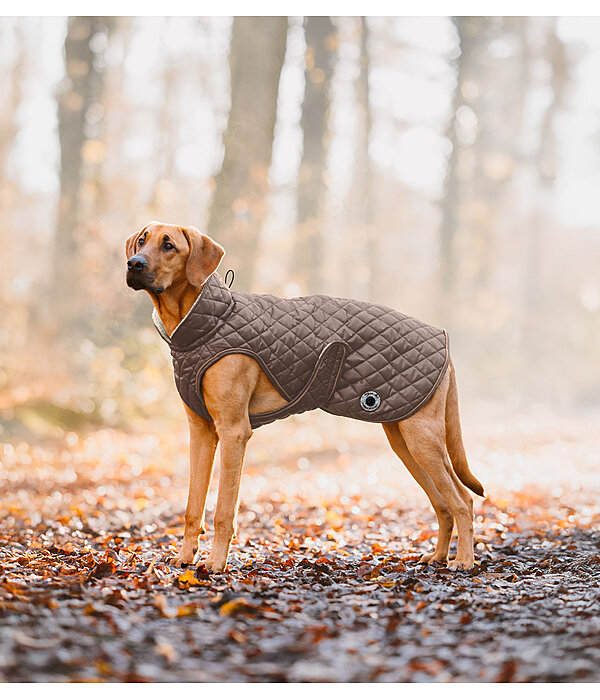 Manteau avec doublure en polaire Teddy pour chien  Archie, 160 g