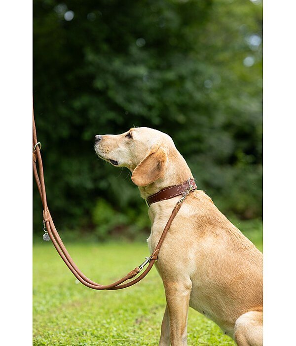Laisse en cuir cousu rond pour chien  Certaldo