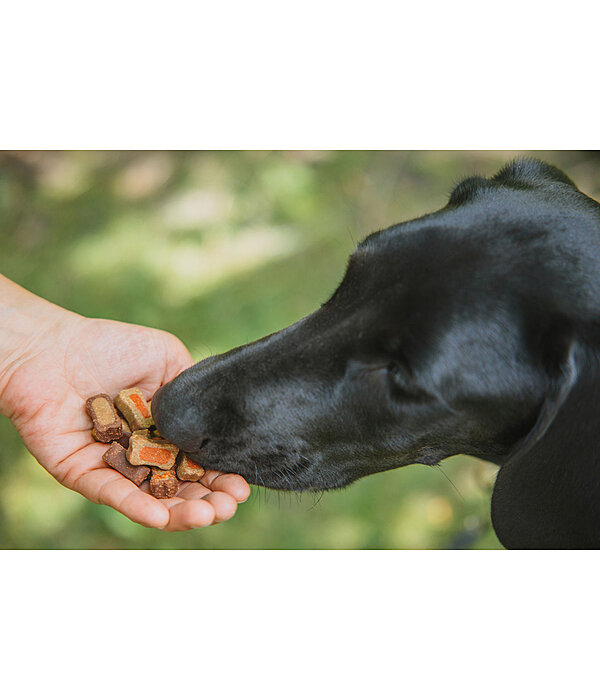 Mlange de friandises colores pour chien