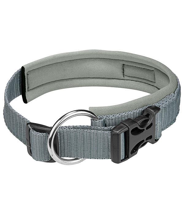 Collier pour chien  Becks