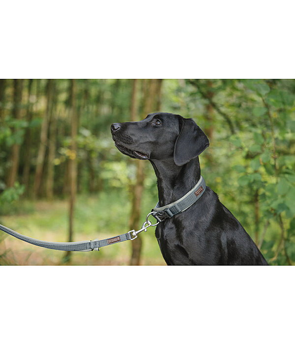 Laisse pour chien  Jade