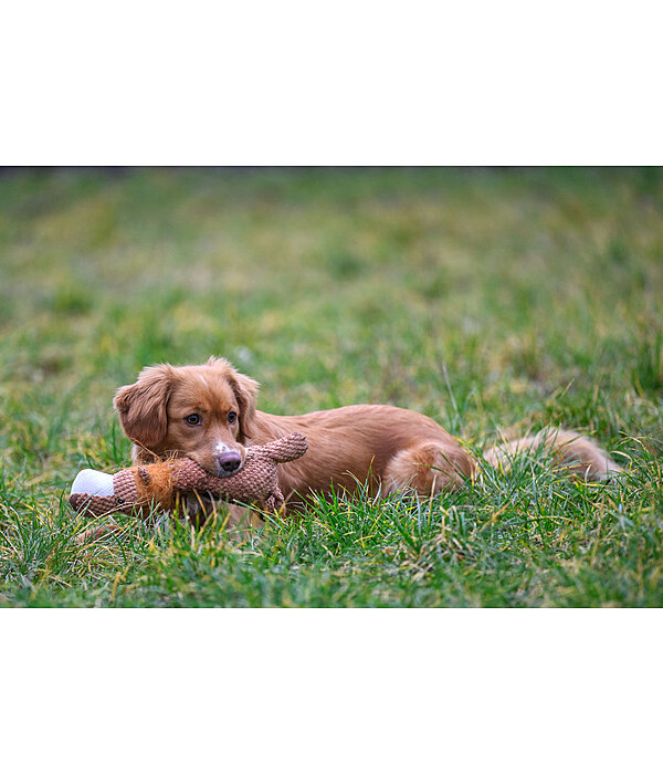 Peluche lion pour chien  Lio